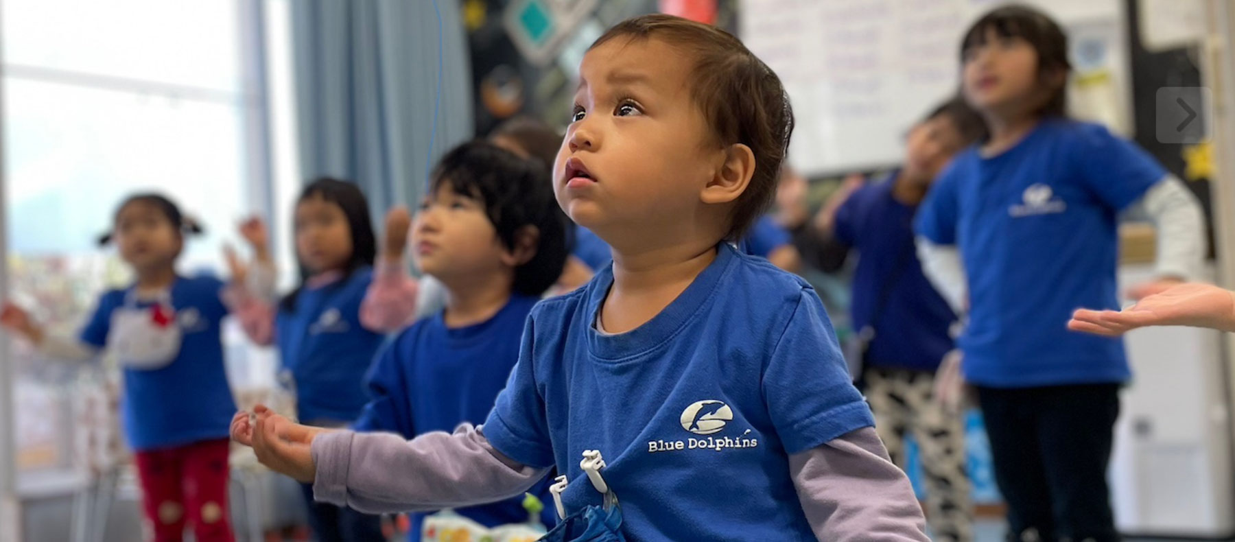ブルードルフィンズ大宮校・浦和校